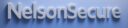 nelsonsecure.com